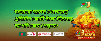 রয়্যাল ভিআইপি অফার